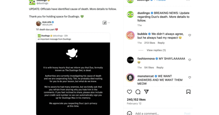When an Owl ‘Died’ & Social Media Lost It
